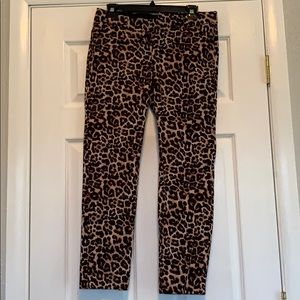 Ankle leopard slacks